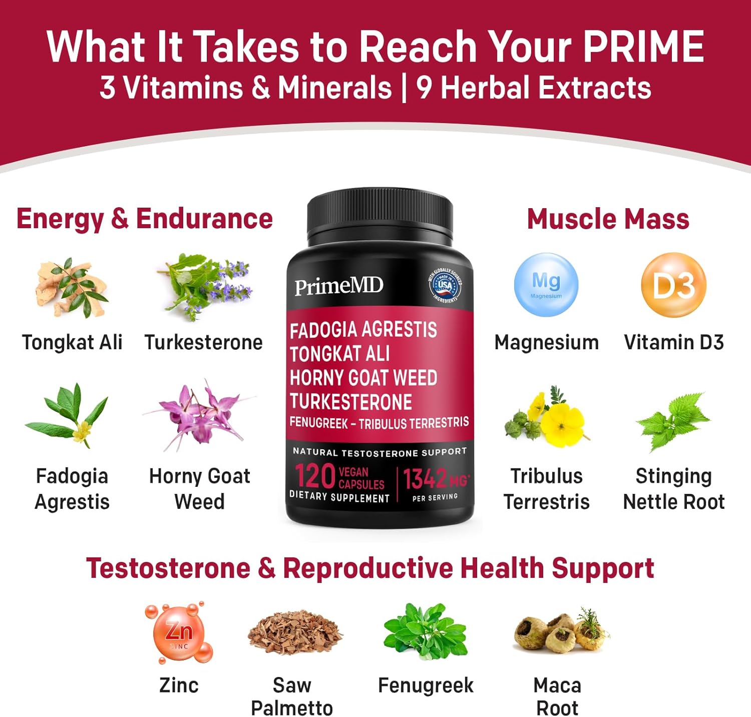 Heart, Energy, & Immune Support Bundle - PrimeMD Ceylon Cinnamon, Fadogia Tongkat Ali, and Nitric Oxide Supplements - Non-GMO & Vegan