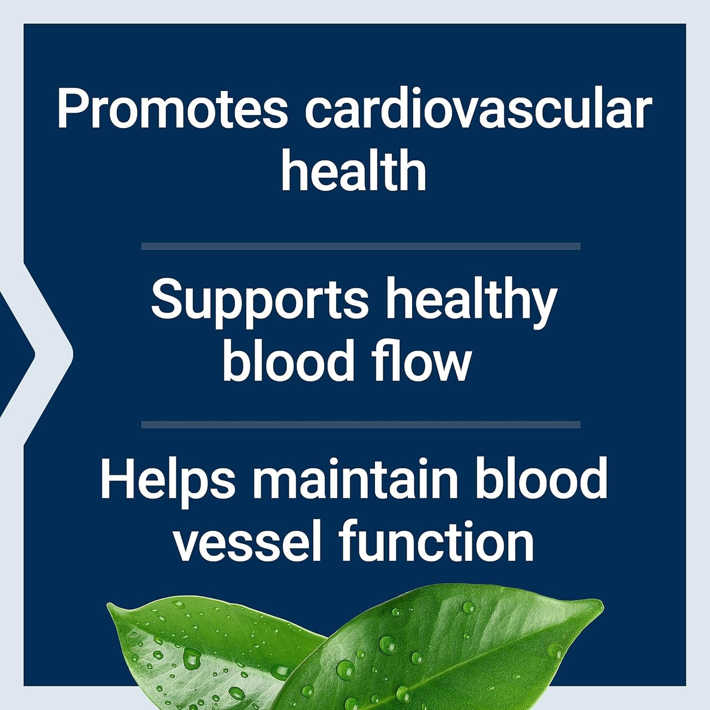 Heart Health Supplement: Potassium & Magnesium for Blood Pressure Support - 60 Capsules, Non-GMO, Vegetarian & Gluten-Free