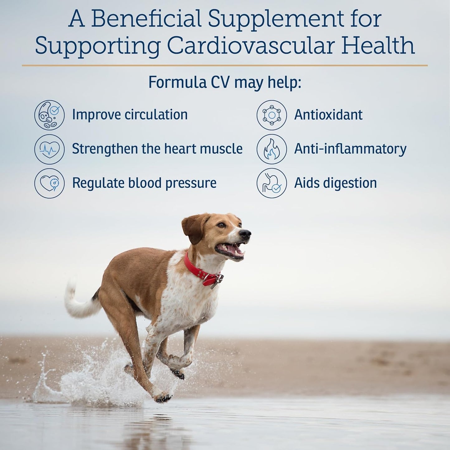Heart Health Support for Senior Dogs & Cats - Hawthorn Berry Capsules with Taurine, Magnesium, and Potassium - 90ct