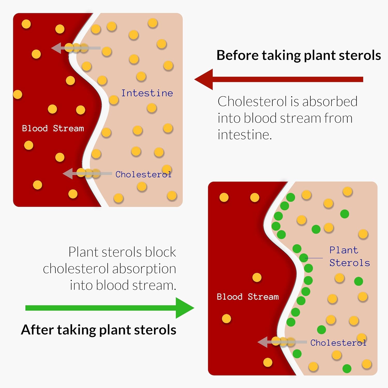 Heart Health Support Supplement with Citrus Bergamot, Plant Sterols, CoQ10, Omega 3, Turmeric, Black Garlic - 120 Softgels