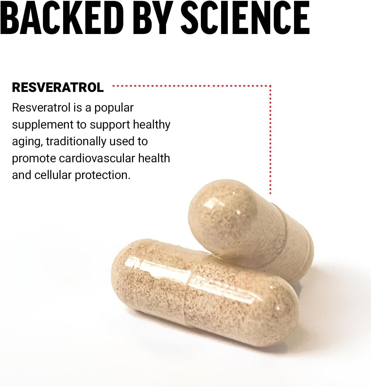 Heart Health Support: Vegan Resveratrol Supplement with Antioxidants, Free Radical Scavenger - 120 Capsules