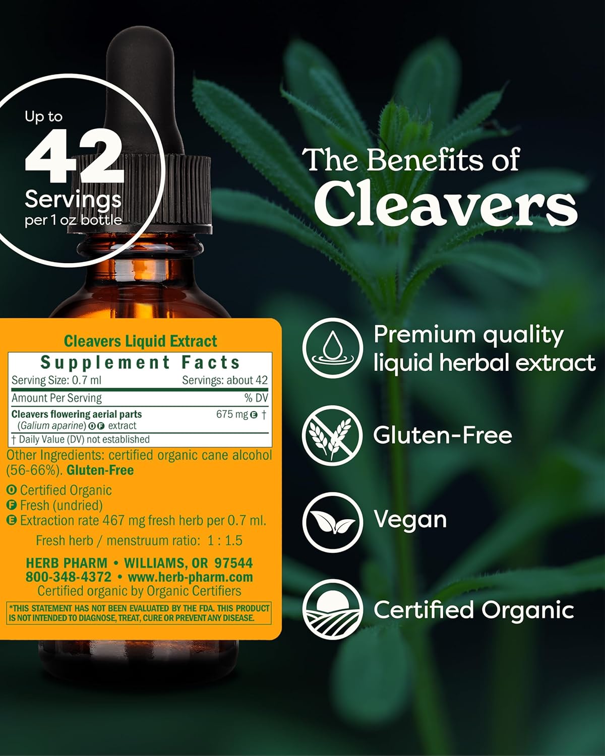 Herb Pharm Cleavers Liquid Extract - 1 Fluid Ounce
