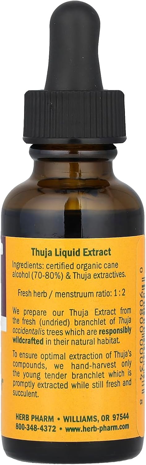 Herb Pharm Thuja Branchlet Liquid Extract 1oz - Pure, Potent Thuja Occidentalis Tincture