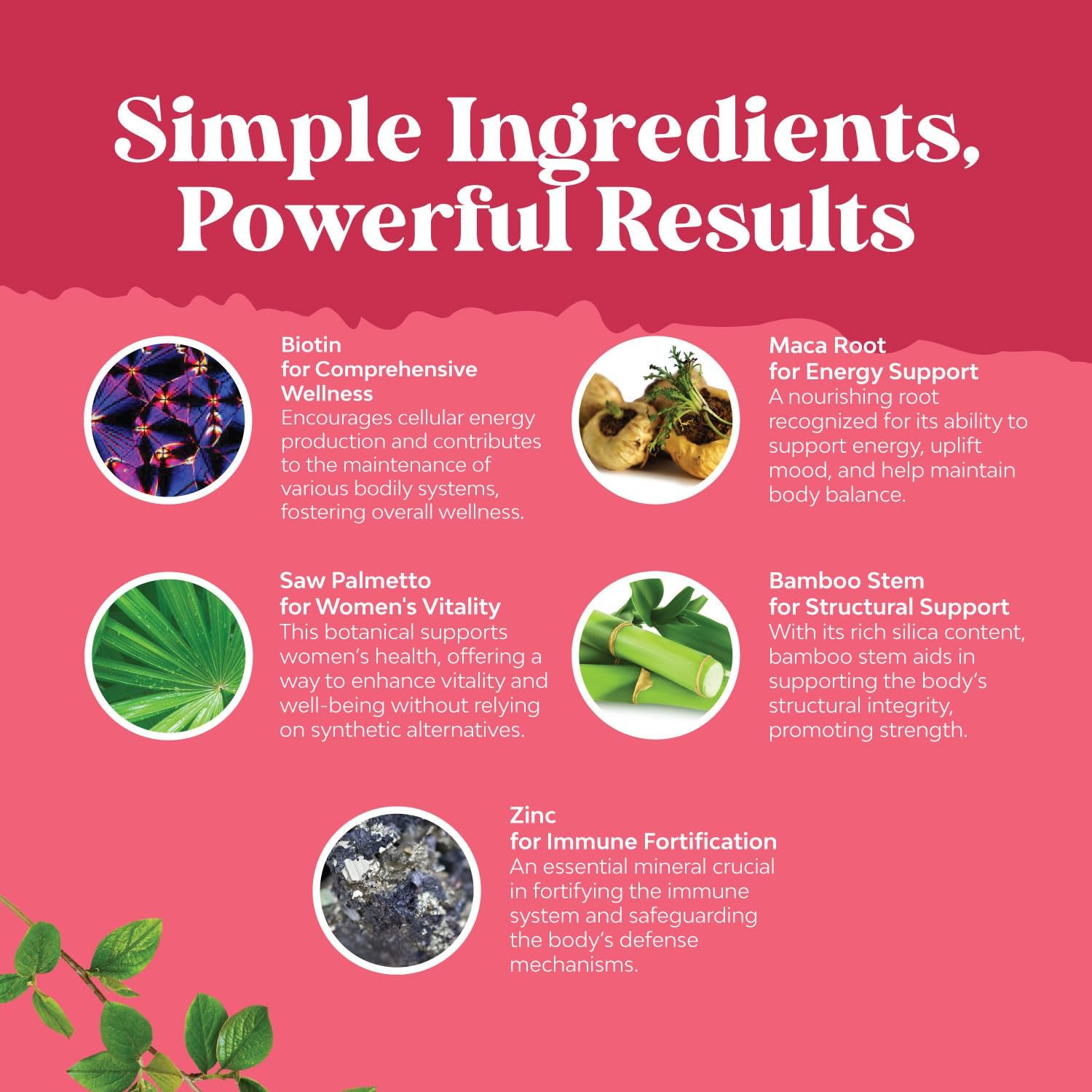 Herbal Adrenal and Thyroid Support Complex Bundle - Natural Mood Enhancer and Energy Supplement for Thyroid Health, with Saw Palmetto for Women's Hair Strength and Thickness