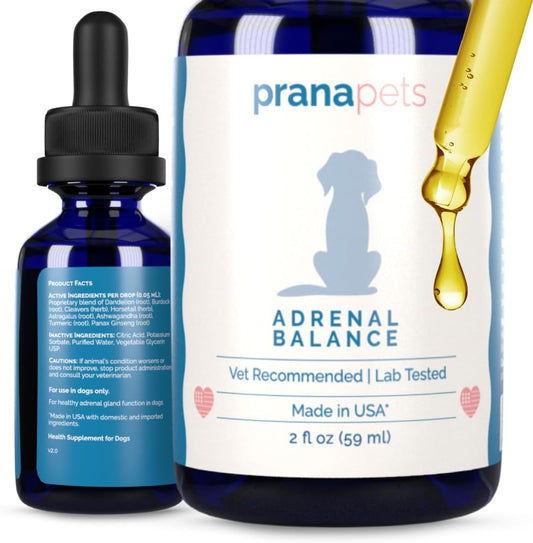 Herbal Adrenal Balance Supplement for Dogs with Cushing’s | Naturally Relieves Symptoms | PranaPets Formula