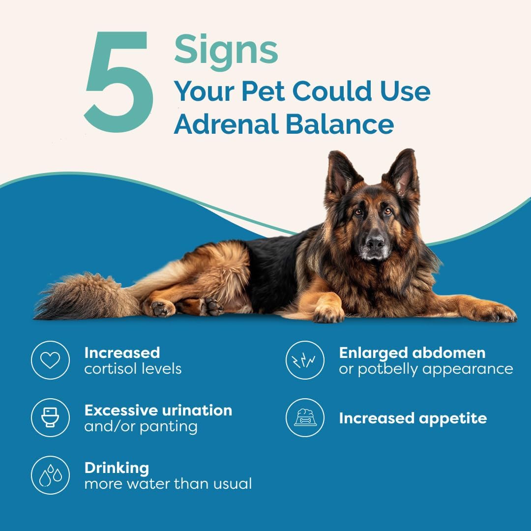 Herbal Adrenal Balance Supplement for Dogs with Cushing’s | Naturally Relieves Symptoms | PranaPets Formula