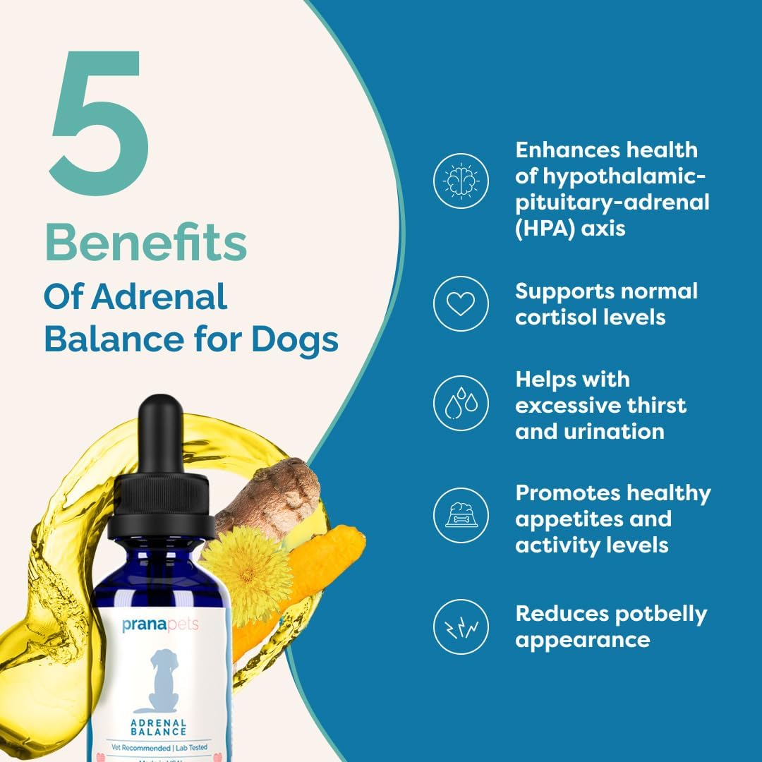 Herbal Adrenal Balance Supplement for Dogs with Cushing’s | Naturally Relieves Symptoms | PranaPets Formula