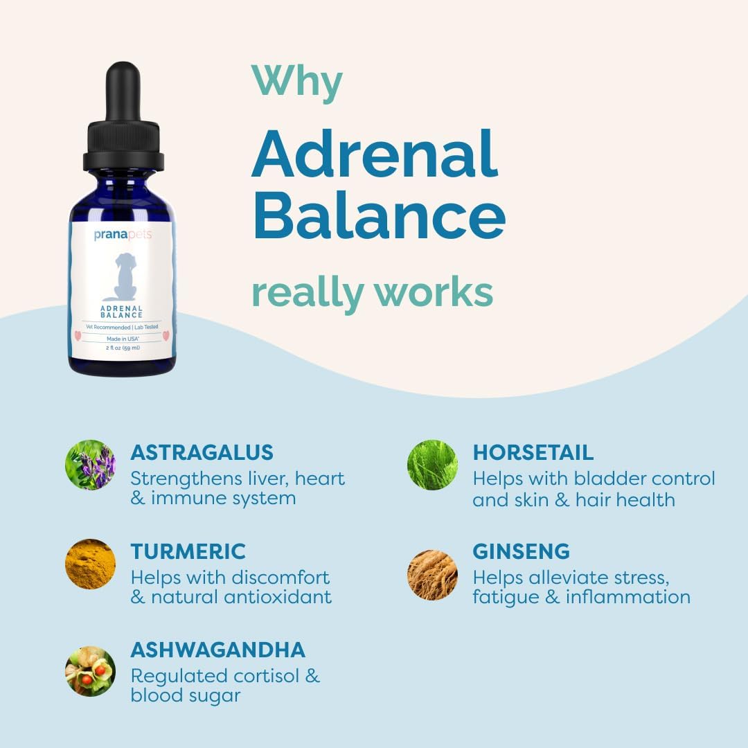 Herbal Adrenal Balance Supplement for Dogs with Cushing’s | Naturally Relieves Symptoms | PranaPets Formula