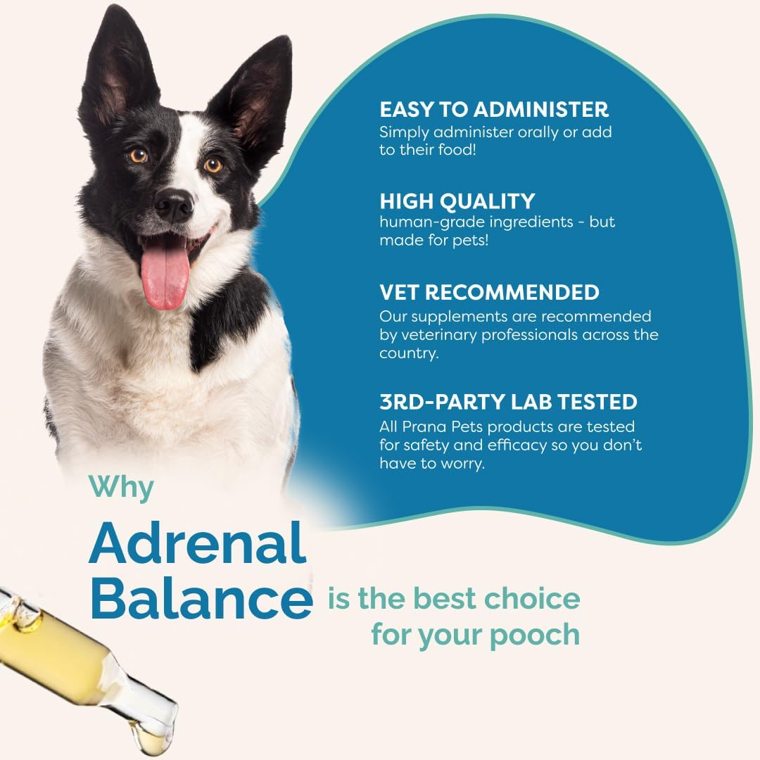 Herbal Adrenal Balance Supplement for Dogs with Cushing’s | Naturally Relieves Symptoms | PranaPets Formula
