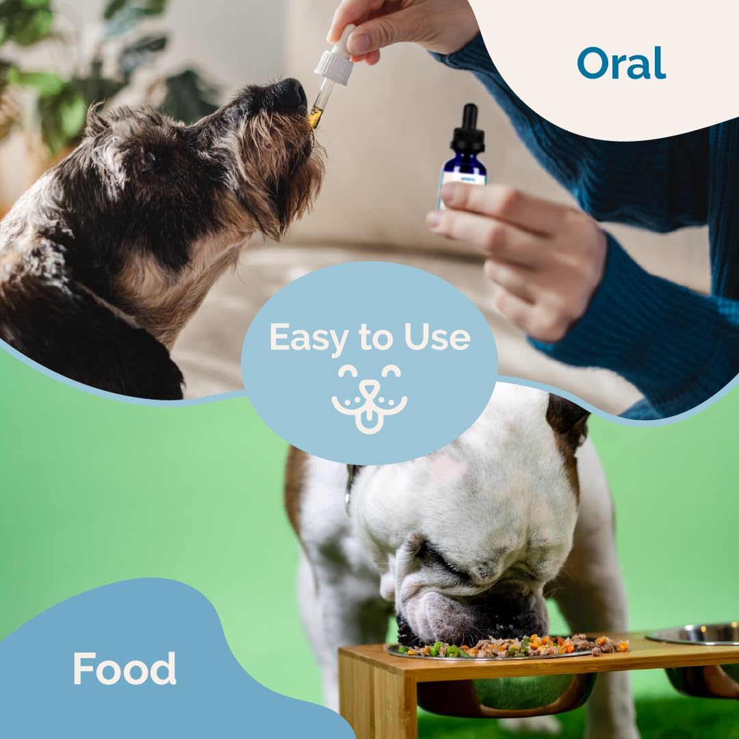 Herbal Adrenal Balance Supplement for Dogs with Cushing’s | Naturally Relieves Symptoms | PranaPets Formula