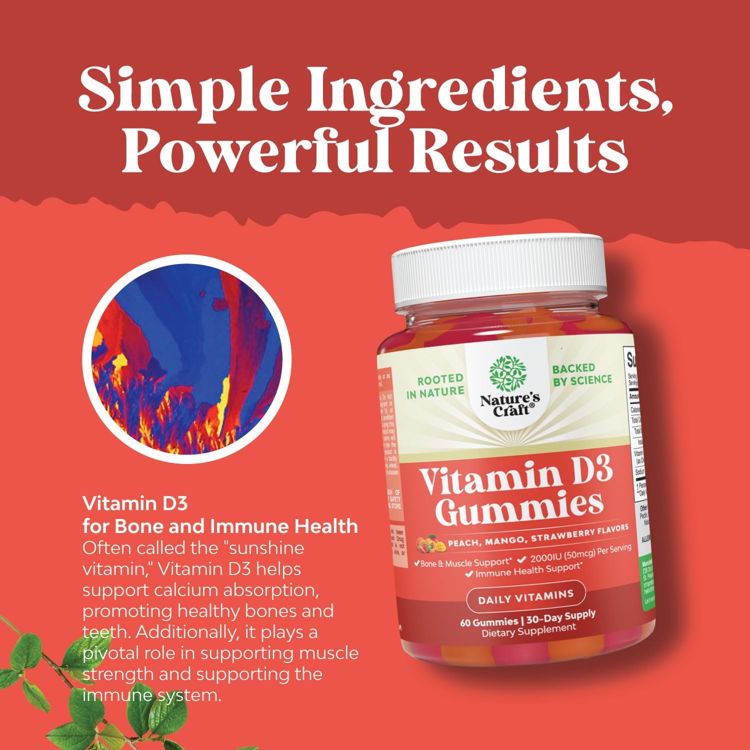 Herbal Adrenal & Thyroid Support Complex + Vitamin D3 Gummies for Daily Wellness - Mood & Energy Supplement for Thyroid Health & Immune Support