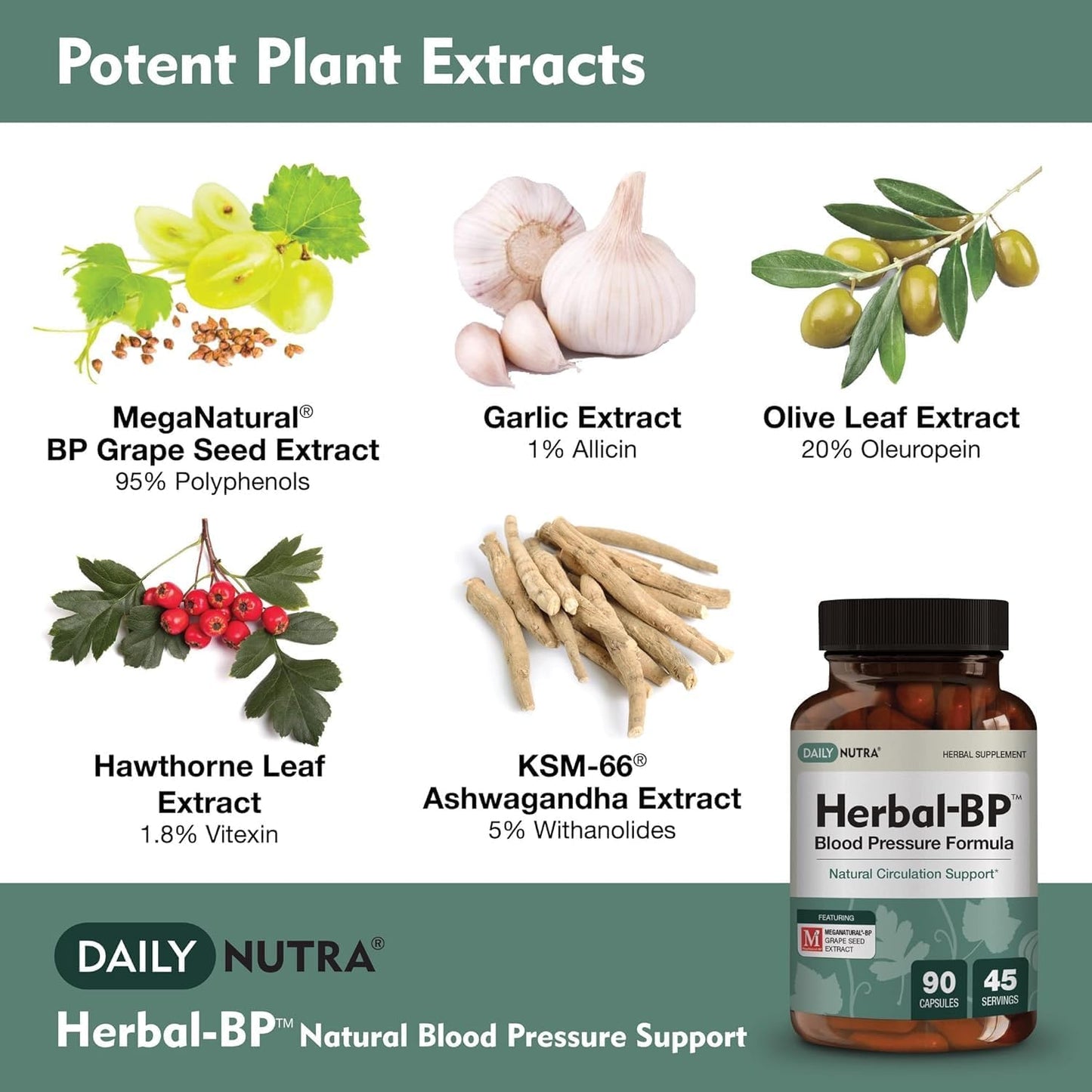 Herbal-BP Natural Blood Pressure Supplement | Grape Seed, Garlic, Hawthorn, Olive Leaf, Ashwagandha | Circulatory Health Support (90 Capsules)