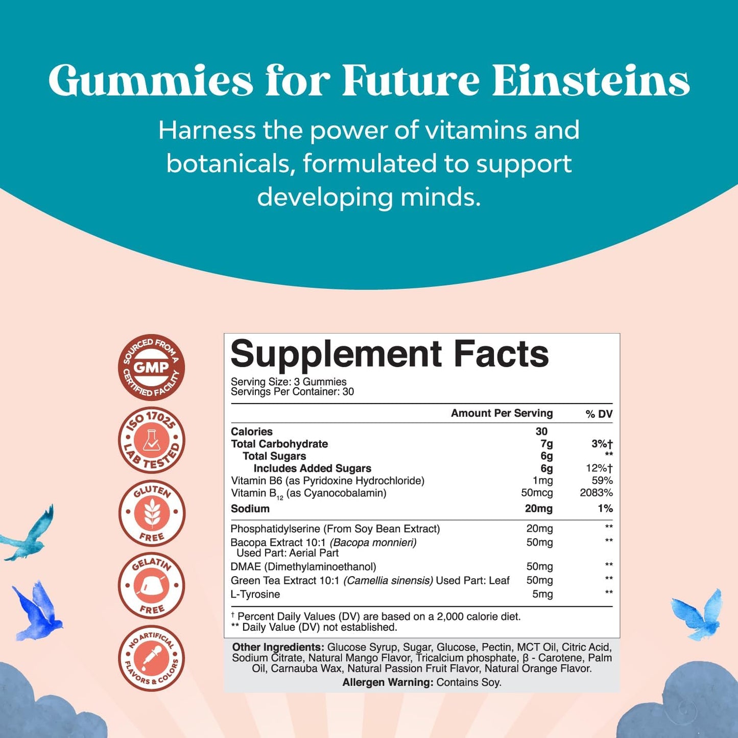 Herbal Brain Support Gummies for Kids - Nootropic Memory & Focus Supplement with Green Tea Extract, B6 & B12 Vitamins - 90 Count