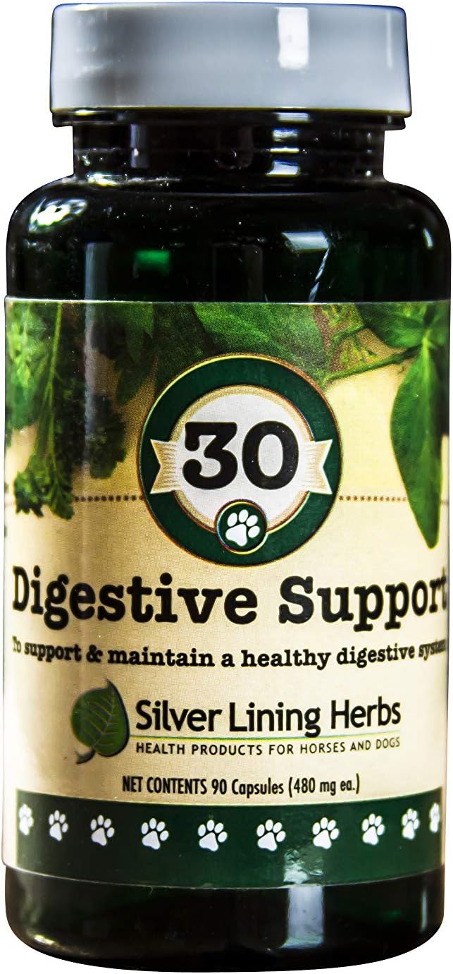 Herbal Canine Digestive Support Supplement for Maintaining Normal Digestive Function - 90 Capsules