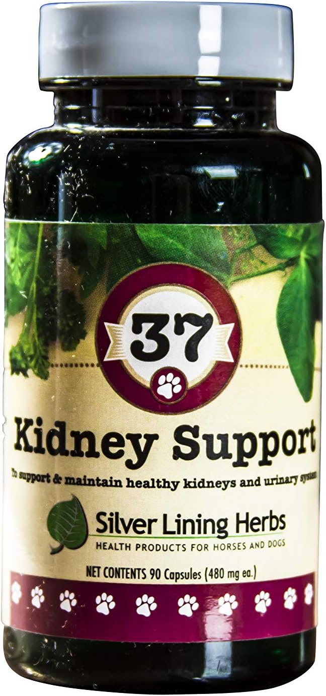 Herbal Dog Supplement for Kidney & Bladder Support - 90 Capsules by Silver Lining Herbs