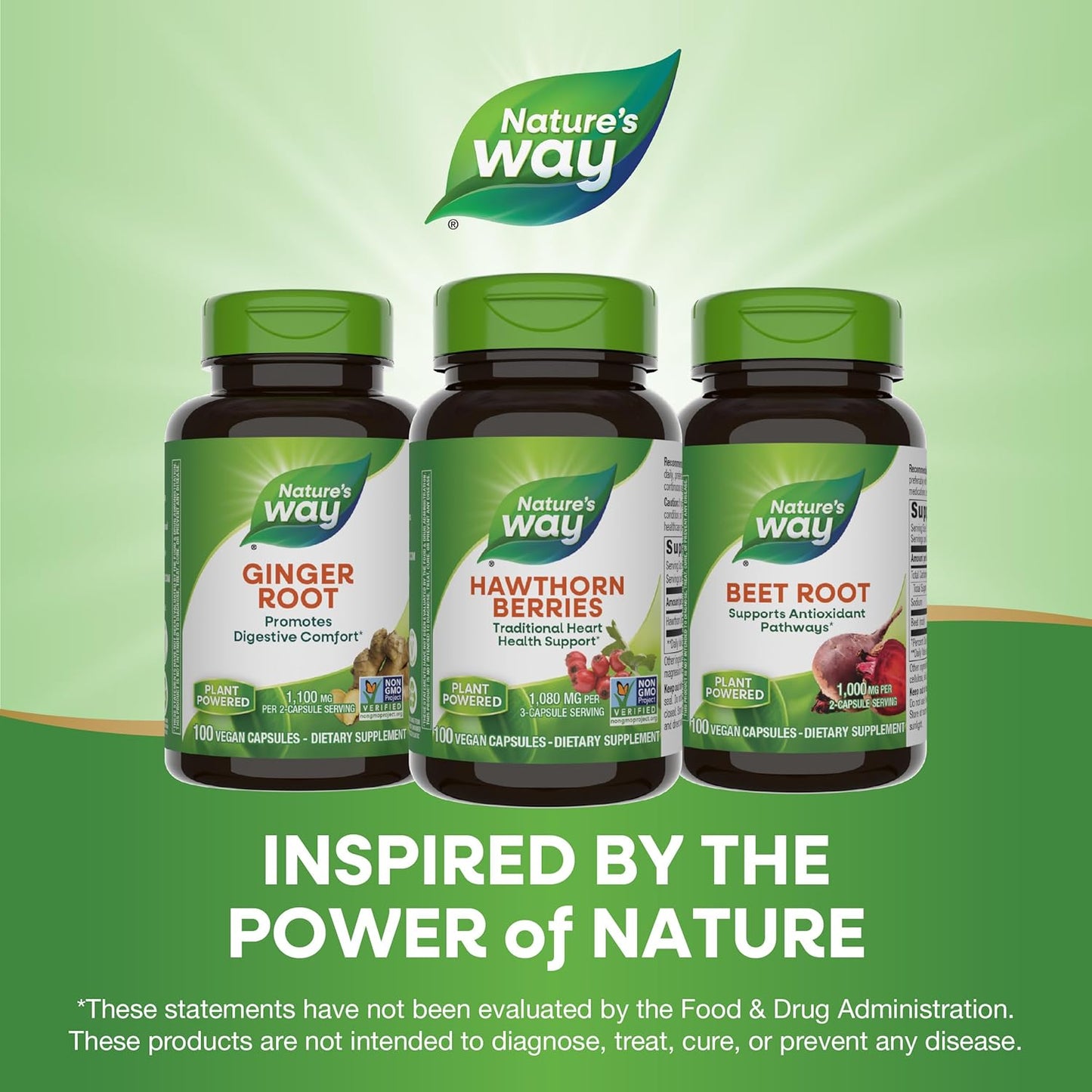 Herbal Hawthorn Berries Vegan Capsules for Heart Health Support - 100 Count