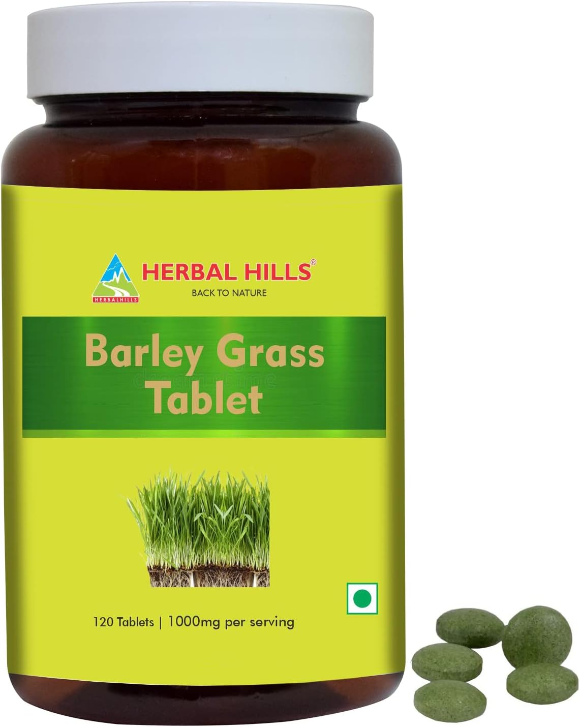 Herbal Hills Gurmar Tea Powder and Barley Grass Tablets Combo Pack - Set of 2