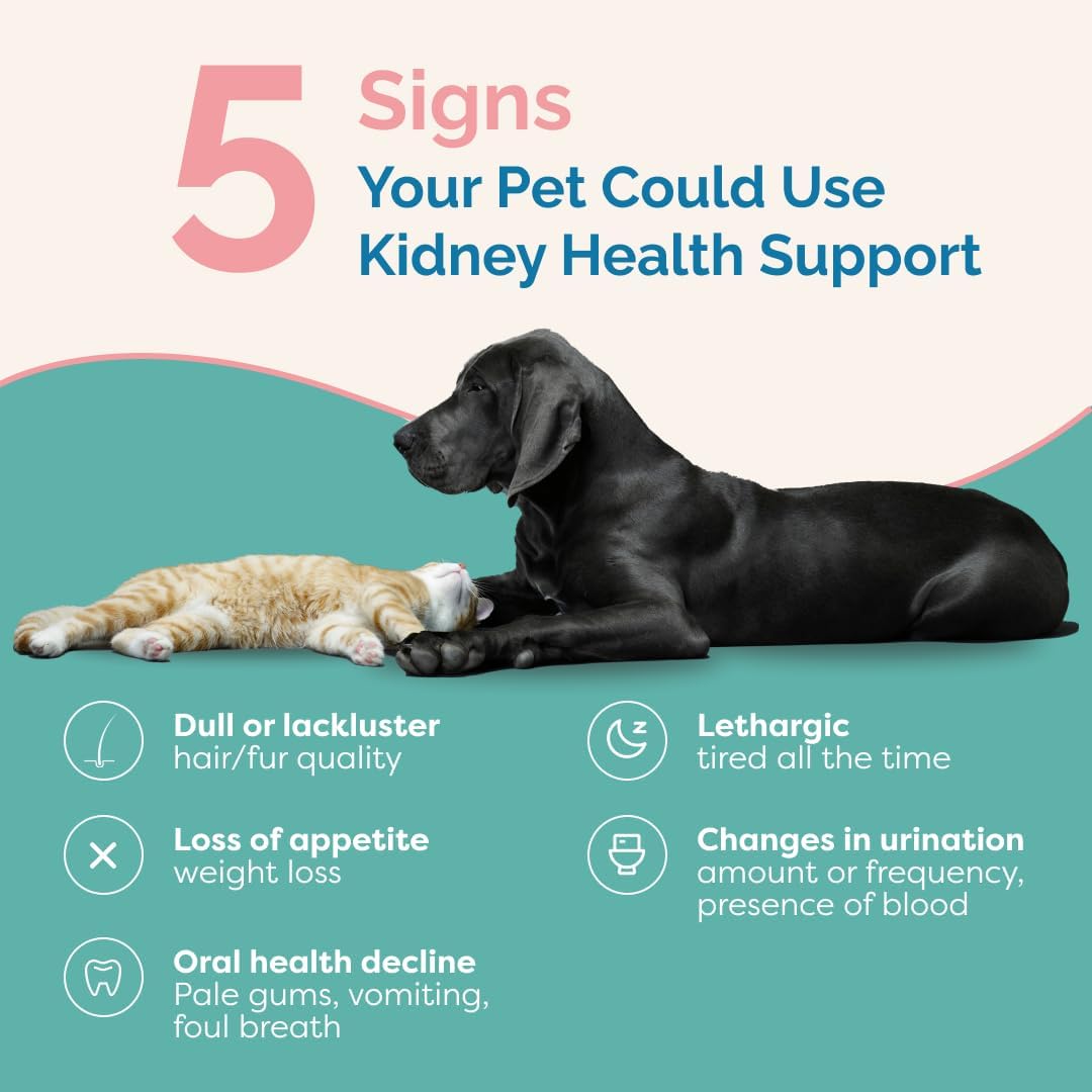 Herbal Kidney Health Support Supplement for Cats | Promotes Healthy Kidney Function & Reduces Inflammation | Natural Formula for Feline Kidney Issues