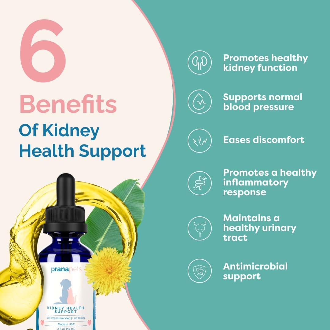 Herbal Kidney Health Support Supplement for Cats | Promotes Healthy Kidney Function & Reduces Inflammation | Natural Formula for Feline Kidney Issues