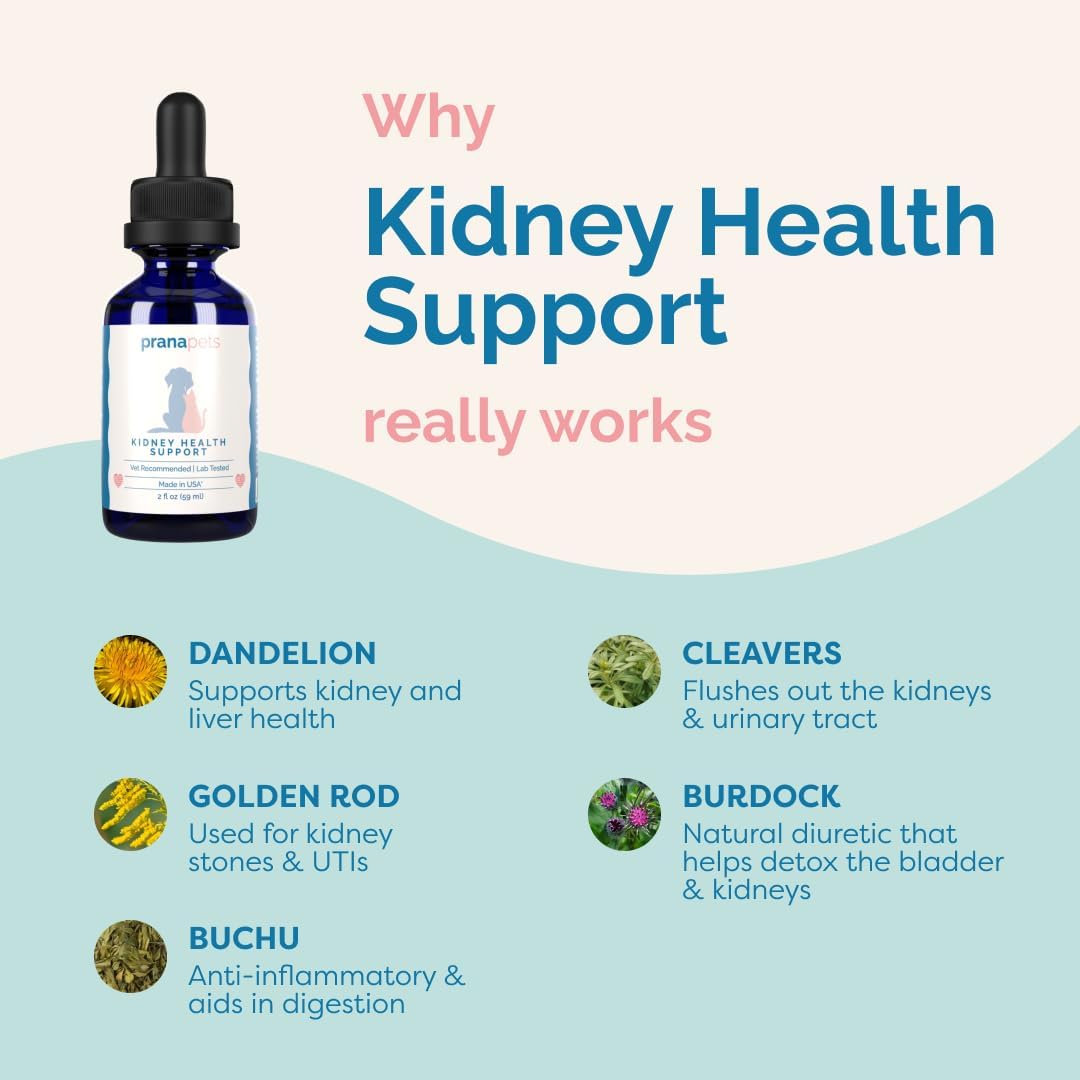Herbal Kidney Health Support Supplement for Cats | Promotes Healthy Kidney Function & Reduces Inflammation | Natural Formula for Feline Kidney Issues
