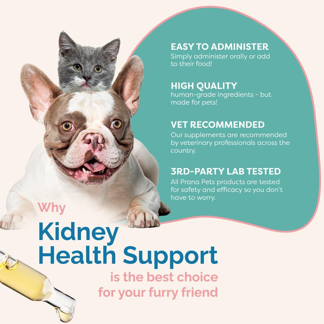 Herbal Kidney Health Support Supplement for Cats | Promotes Healthy Kidney Function & Reduces Inflammation | Natural Formula for Feline Kidney Issues