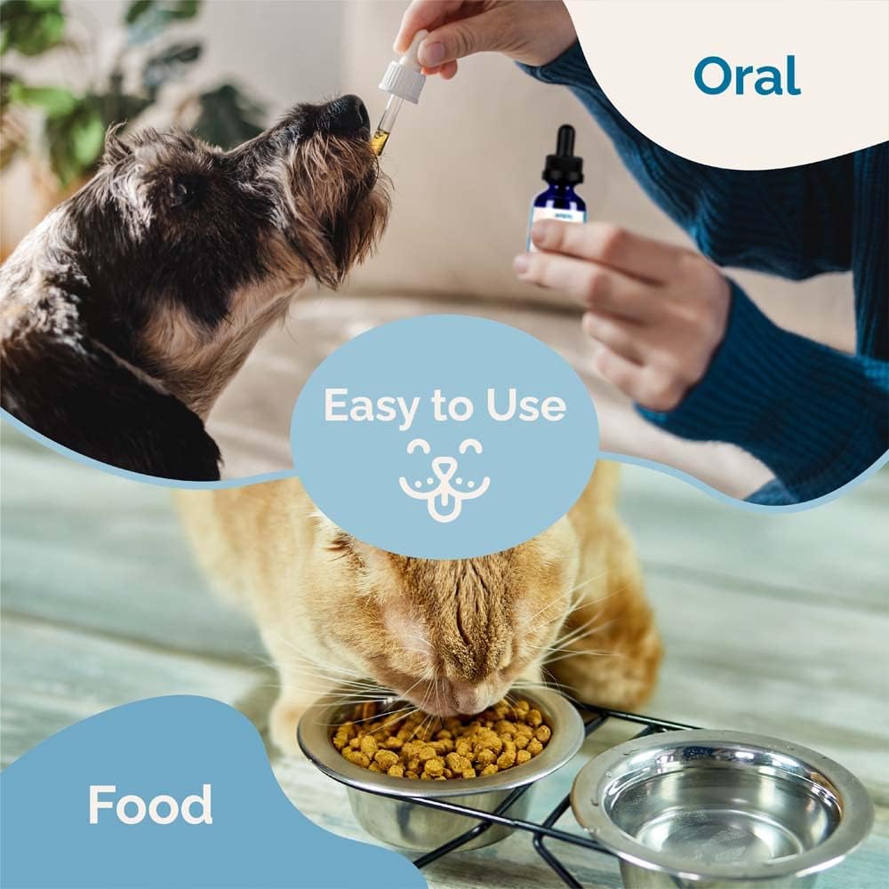 Herbal Kidney Health Support Supplement for Cats | Promotes Healthy Kidney Function & Reduces Inflammation | Natural Formula for Feline Kidney Issues