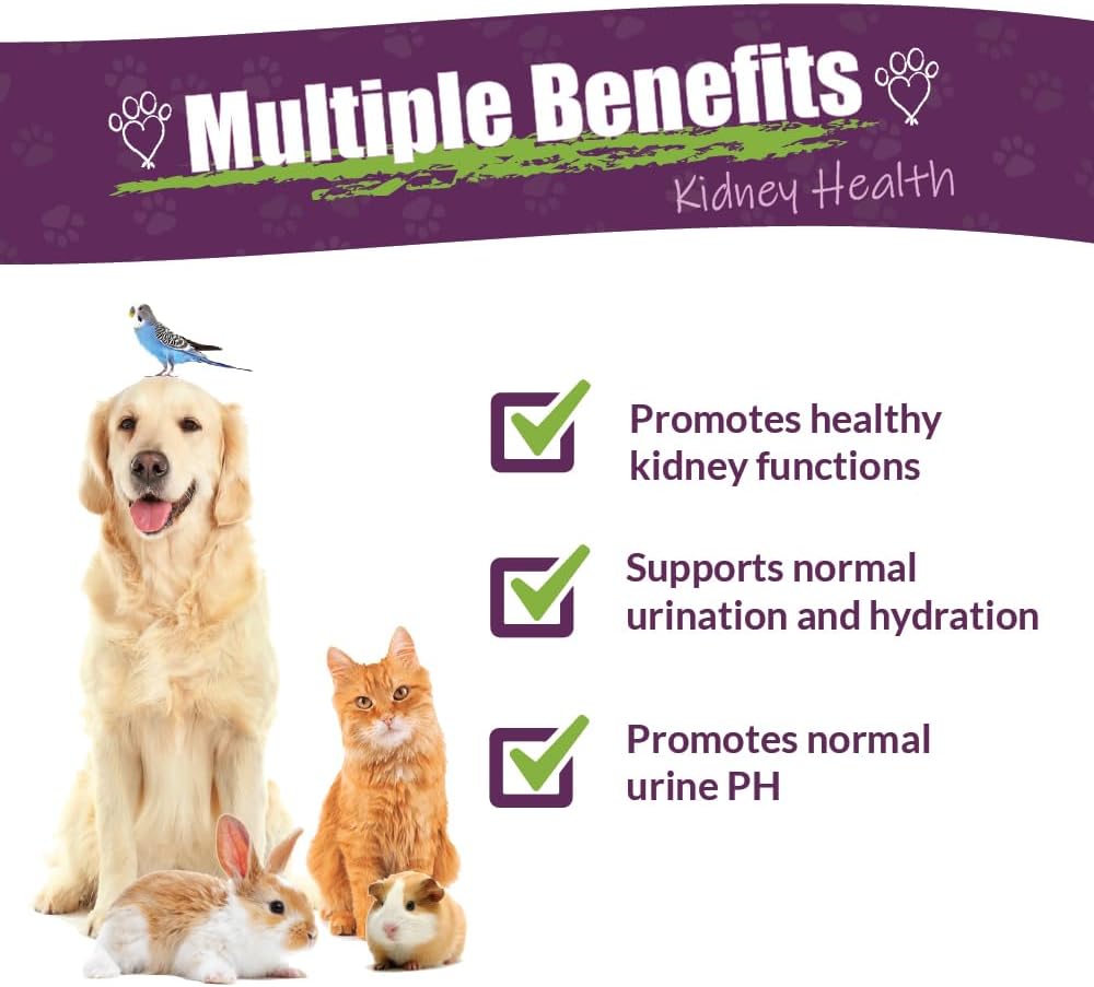 Herbal Kidney Support Supplement for Pets | Natural Kidney Rejuvenator Blend | 1oz Glass Bottle | Made in USA