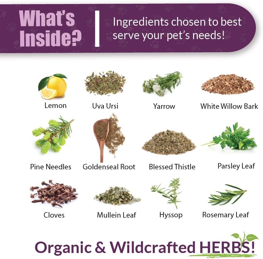 Herbal Kidney Support Supplement for Pets | Natural Kidney Rejuvenator Blend | 1oz Glass Bottle | Made in USA