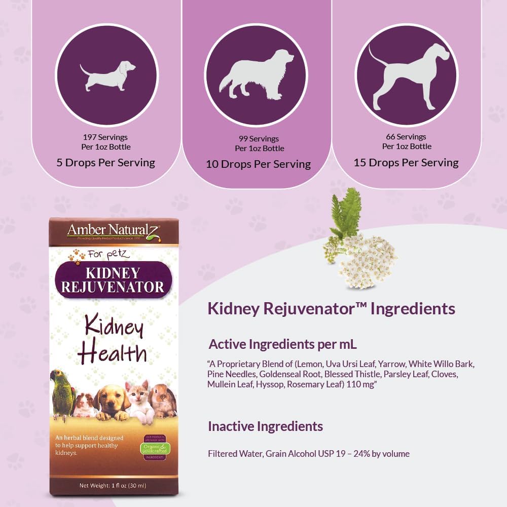 Herbal Kidney Support Supplement for Pets | Natural Kidney Rejuvenator Blend | 1oz Glass Bottle | Made in USA