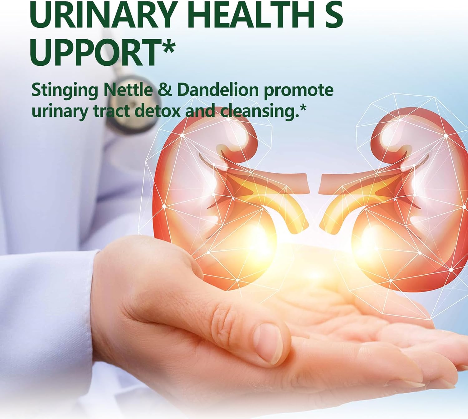 Herbal Liquid Drops with Stinging Nettle, Quercetin, and Turmeric for Allergy, Urinary Health, and Immunity - 2oz