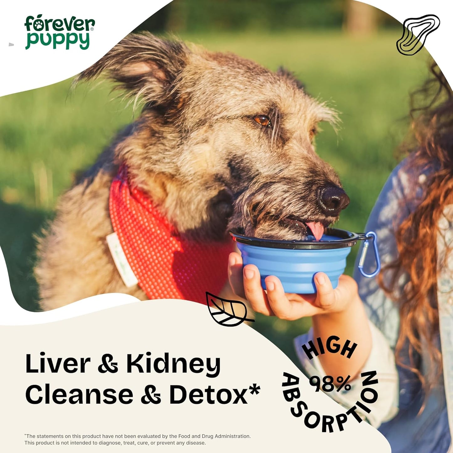 Herbal Liver and Kidney Support Drops for Dogs - Detox & Antioxidant Supplement - Dandelion Leaf & Root Extract - All Breeds & Sizes - 4 oz
