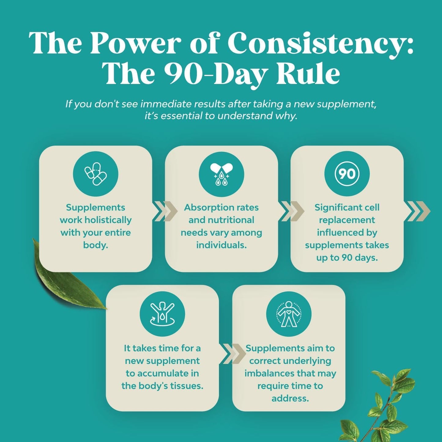 Herbal Liver Support Capsules with Milk Thistle, Dandelion Root, Choline, Beetroot & Artichoke Extract - Liver Cleanse Detox & Repair Supplement