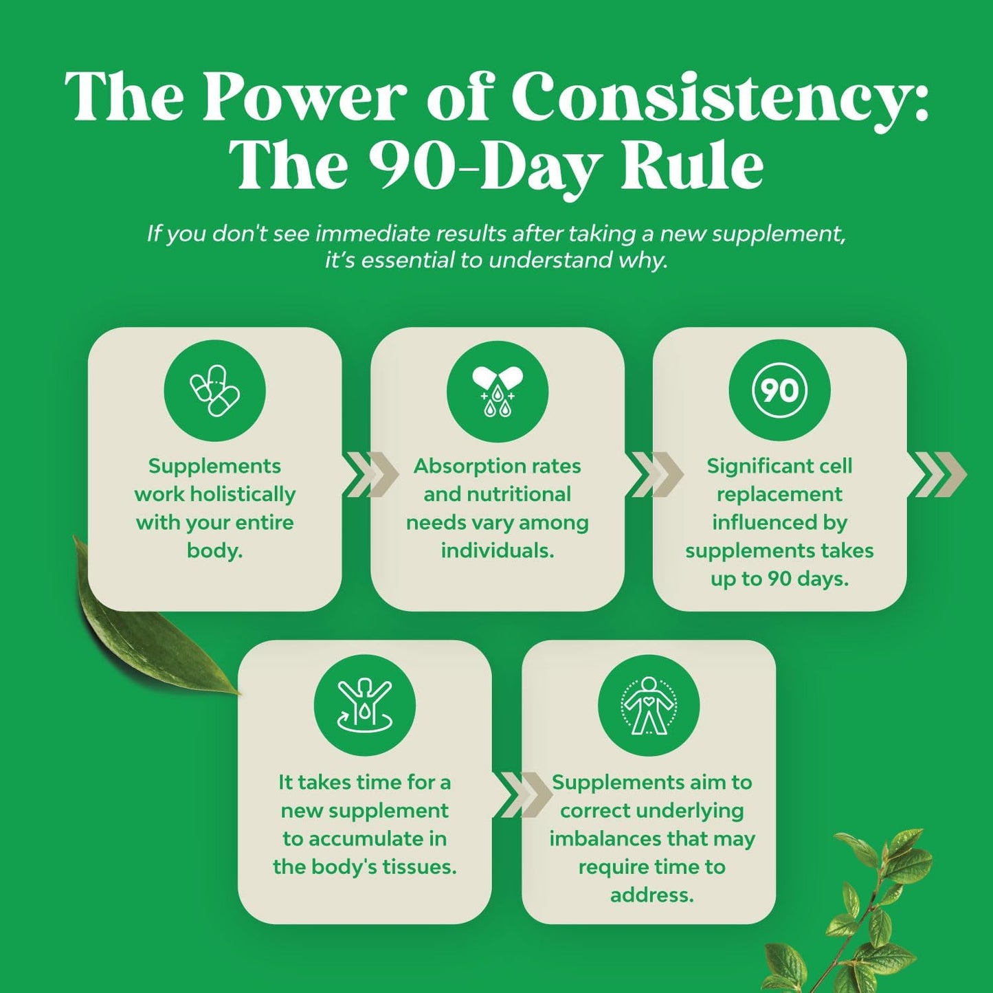 Herbal Liver Support Supplement with Milk Thistle Extract, Dandelion Root, and Artichoke - Cleanse and Detox Liver with Natural Ingredients