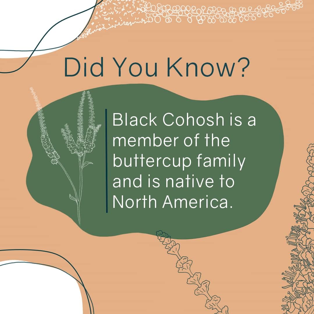 Herbal Menopause Support Capsules for Hot Flashes & Hormone Balance - 120 Capsules