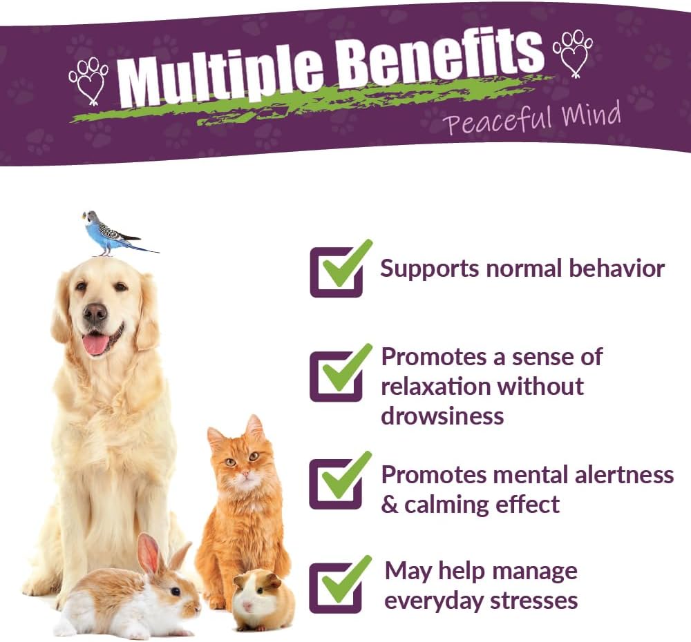 Herbal Pet Supplement for Relaxation - AMBER NATURALZ Pyntril Peaceful Mind | 1 oz Glass Bottle | Made in USA