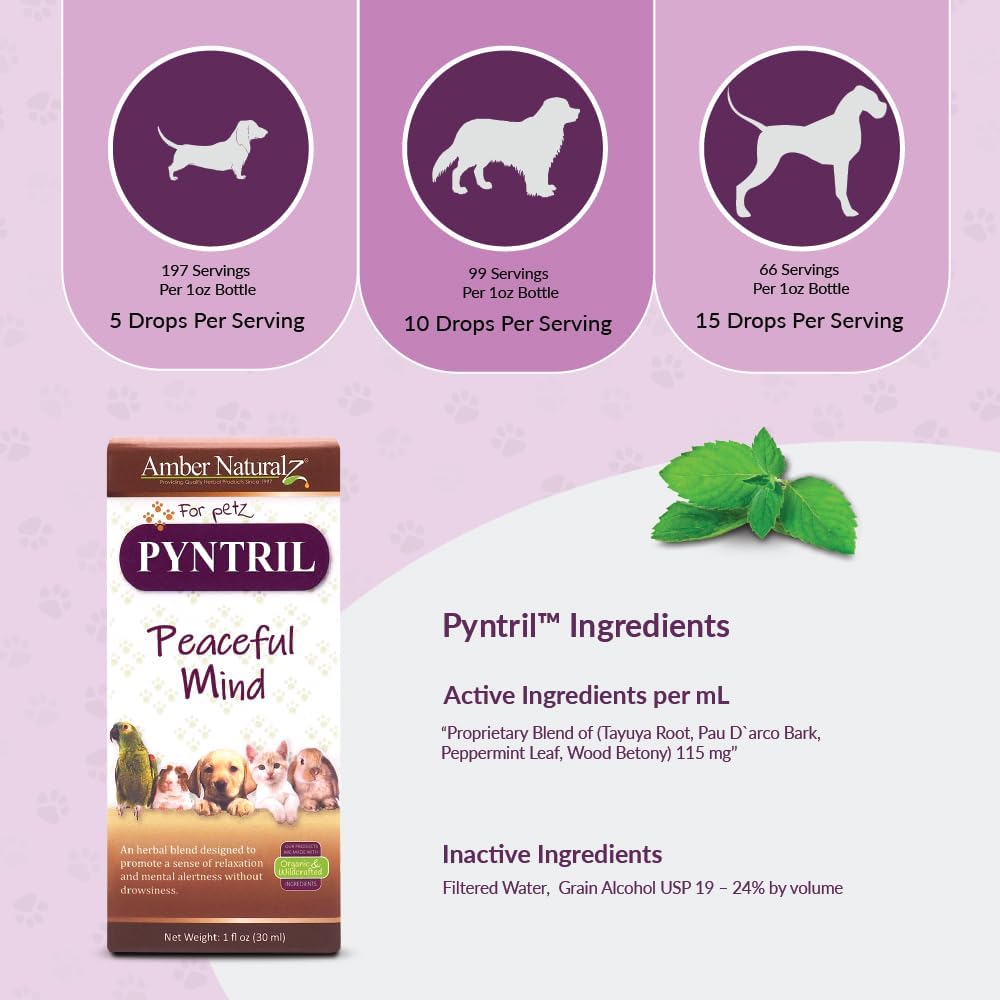 Herbal Pet Supplement for Relaxation - AMBER NATURALZ Pyntril Peaceful Mind | 1 oz Glass Bottle | Made in USA