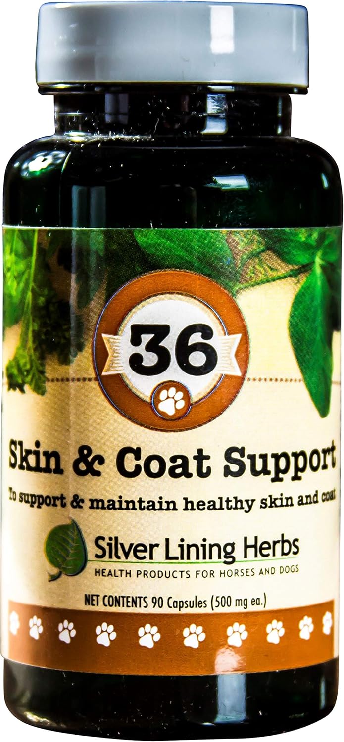 Herbal Skin & Coat Supplement for Dogs - 90 Capsules - Support Against Environmental Factors - Natural Canine Skin & Coat Fortifier