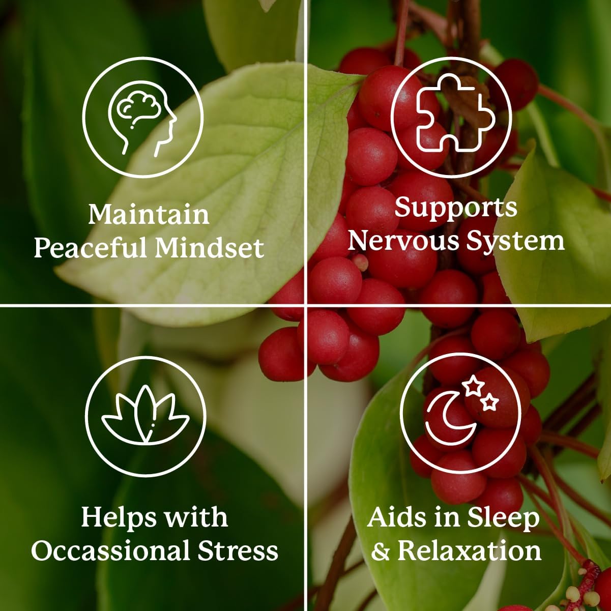 Herbal Stress Relief Supplement for Natural Anxiety Relief and Mood Support - 100 Count