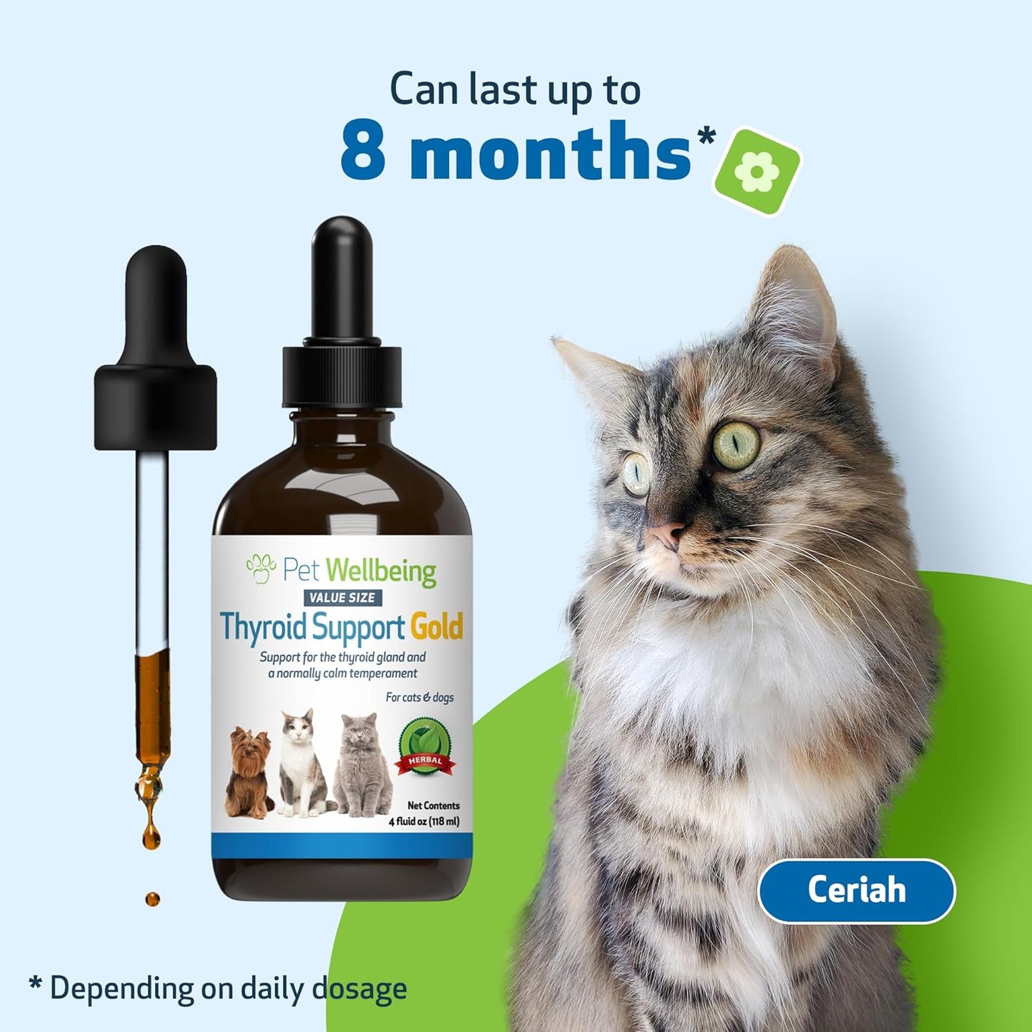 Herbal Supplement for Cats: Thyroid Support Gold - Promotes Healthy Thyroid Function, Metabolism - Bugleweed, Lemon Balm - 4 fl oz