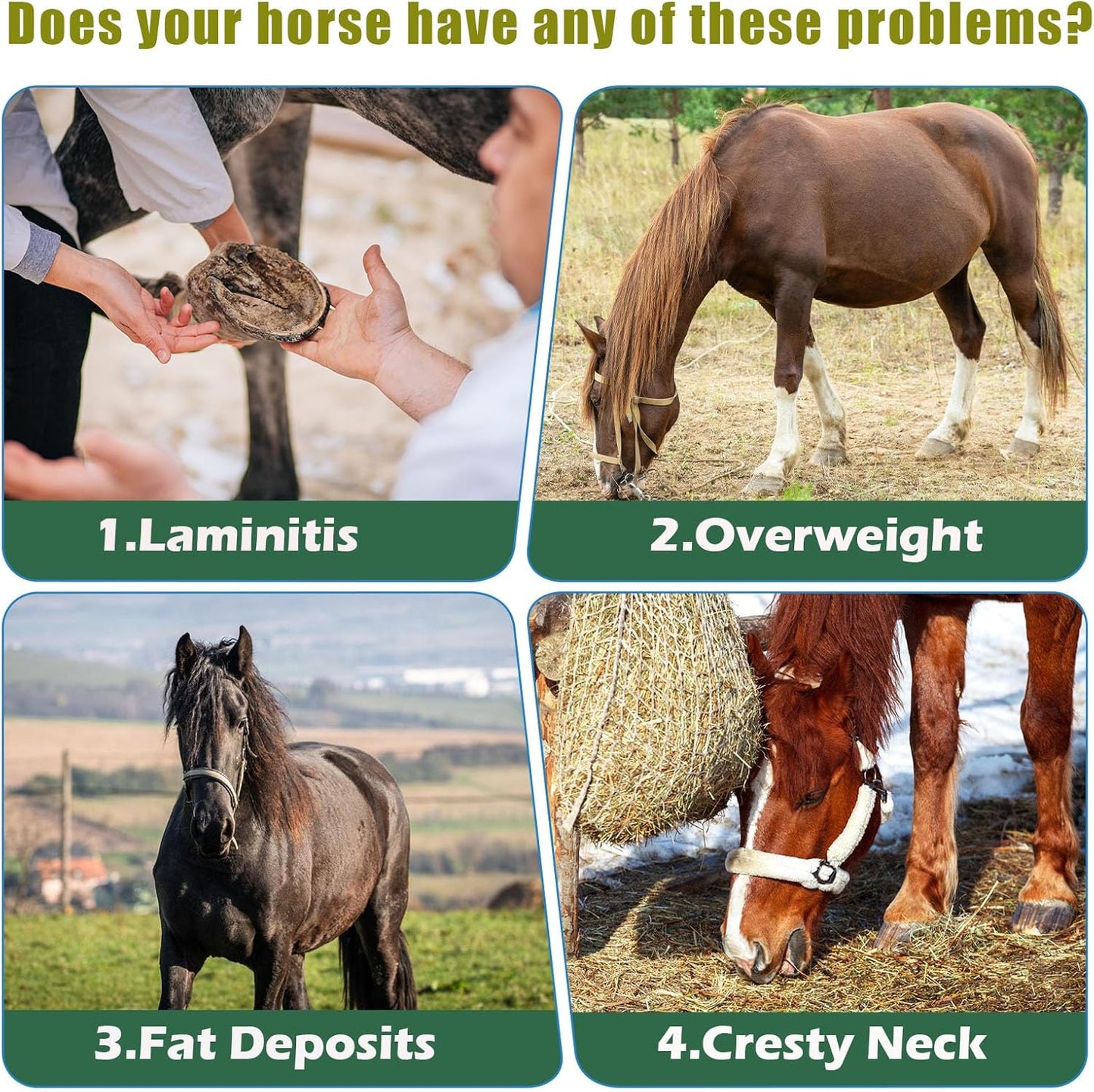 Herbal Supplement for Horses with Insulin Resistance, Laminitis, Cushing's Syndrome, and Metabolic Enhancement, 0.44 lbs