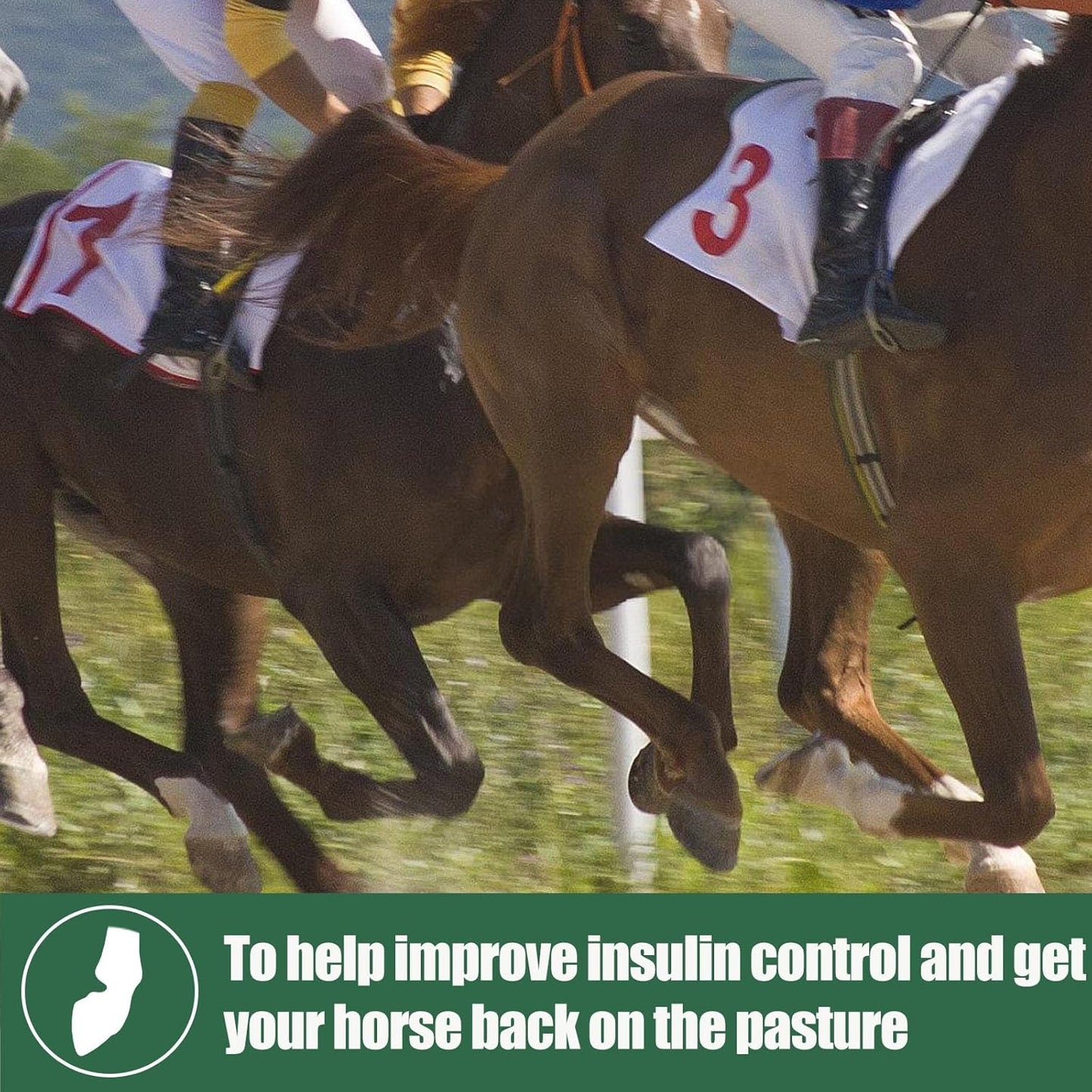 Herbal Supplement for Horses with Insulin Resistance, Laminitis, Cushing's Syndrome, and Metabolic Enhancement, 0.44 lbs