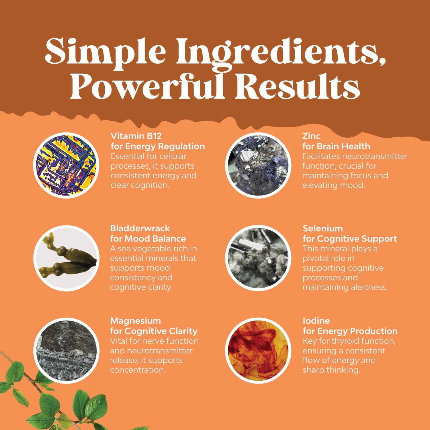 Herbal Thyroid Support Complex - Natural Supplement with Kelp, L-Tyrosine, Bladderwrack, Selenium & Ashwagandha - Hormone Balance and Energy Boost - 120 Capsules