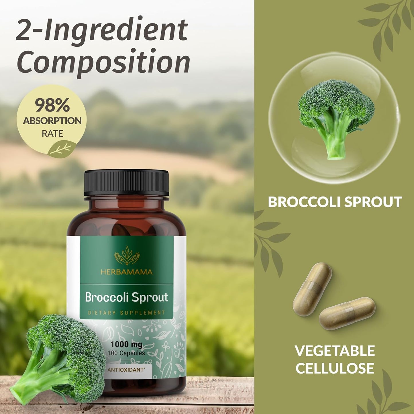 HERBAMAMA Broccoli Sprout and Milk Thistle Supplement Bundle - 1000mg Capsules & 4 oz Extract - Vegan, Non-GMO, Sugar & Alcohol-Free - 2 Pack