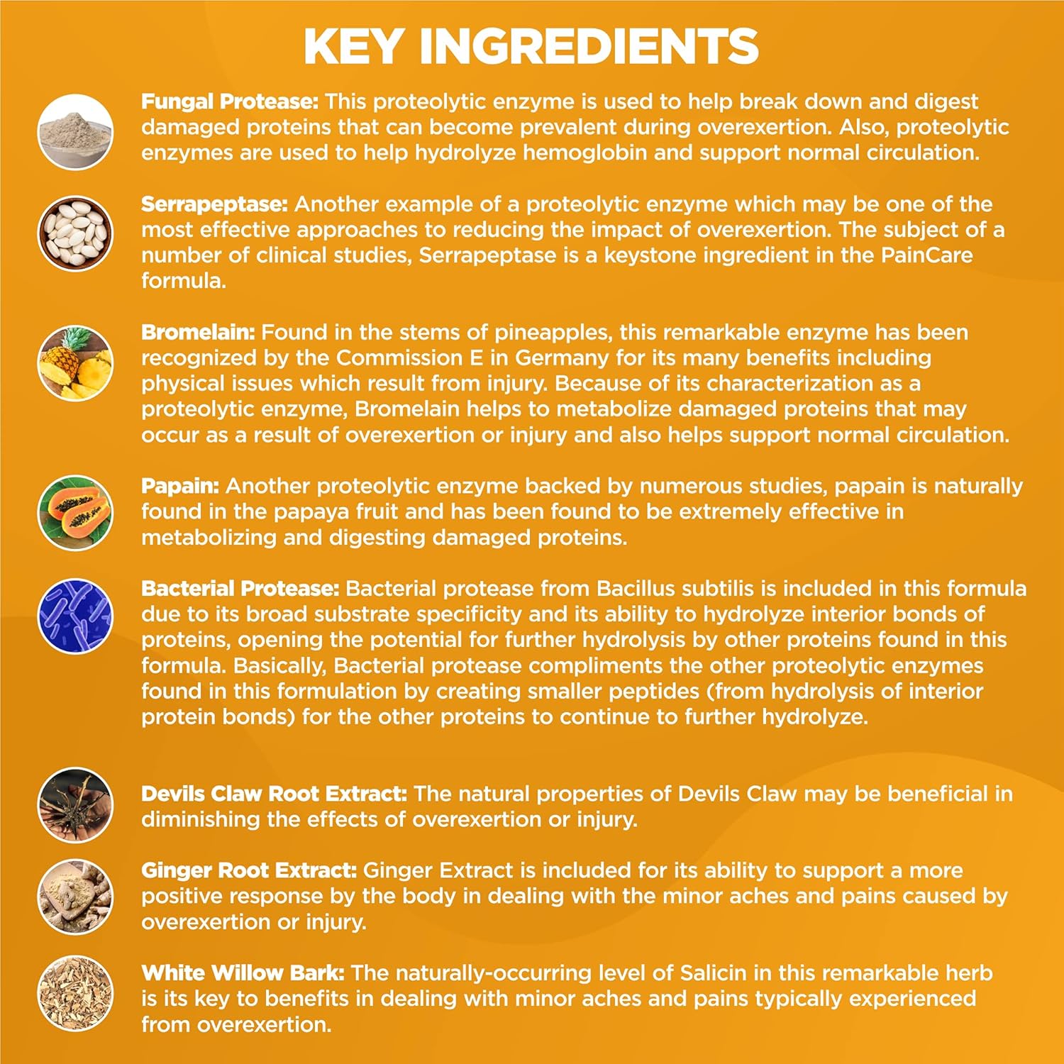 HerbaMe Proteolytic Enzymes Supplement with Serrapeptase - Devils Claw, 90 Capsules for Joint Relief, Muscle Health, and Post-Workout Recovery