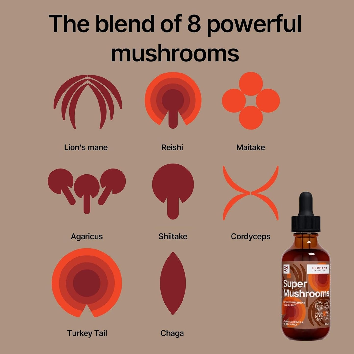 Herbana Manufacturing Super Mushrooms 8-in-1 Liquid Extract for Brain and Immune Support - Reishi, Lion's Mane, Cordyceps, Chaga, and More - High Potency - 45-Day Supply