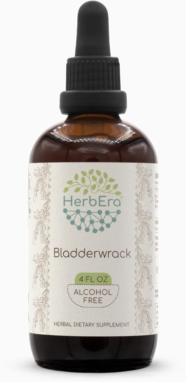 HerbEra Bladderwrack B120 Herbal Extract Tincture - Alcohol-Free Concentrated Liquid Drops - Natural Fucus Vesiculosus Dried Plant - 4 fl oz