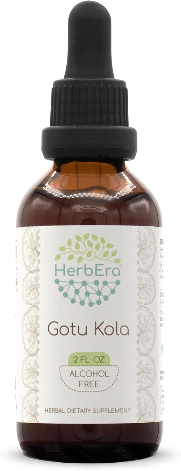 HerbEra Gotu Kola Tincture - Alcohol-Free Herbal Extract, Concentrated Liquid Drops - 2 fl oz Bottle