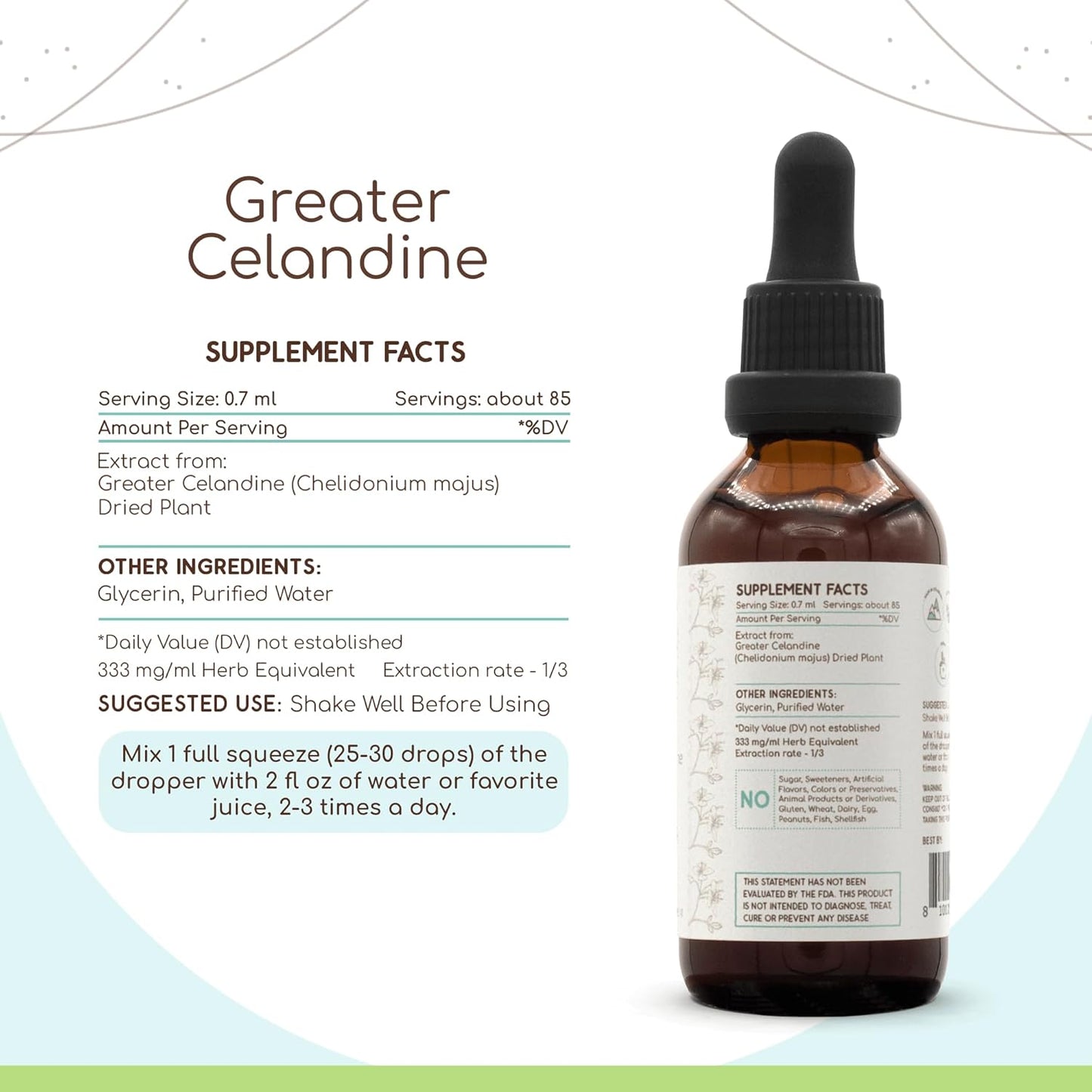 HerbEra Greater Celandine Alcohol-Free Liquid Extract Tincture - 2 oz Bottle