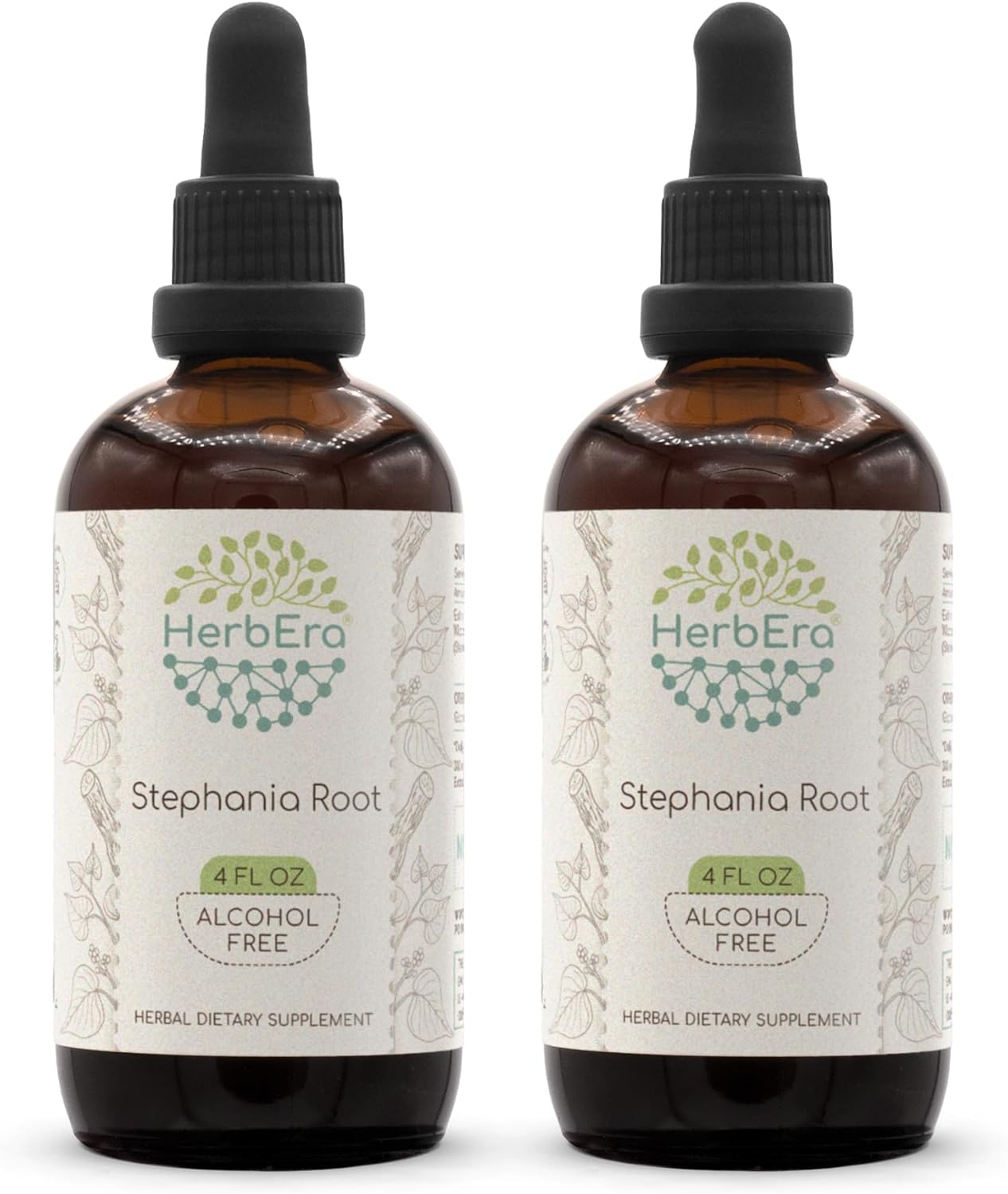 HerbEra Stephania Root Alcohol-Free Extract Tincture, Liquid Drops Concentrated Natural Herbal Supplement (8 fl oz)