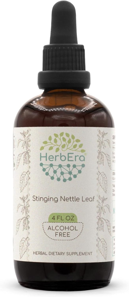 HerbEra Stinging Nettle Leaf B120 Alcohol-Free Herbal Extract Tincture - 4 fl oz Concentrated Liquid Drops